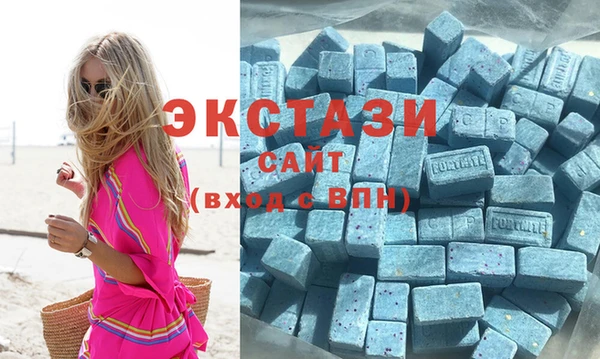спиды Ельня