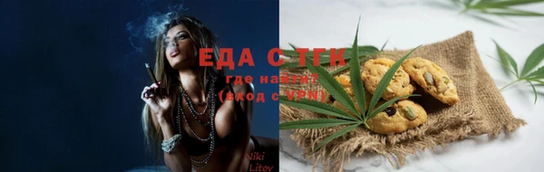 спиды Ельня