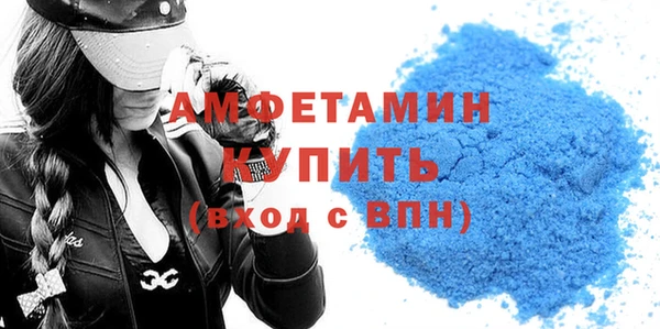 спиды Ельня