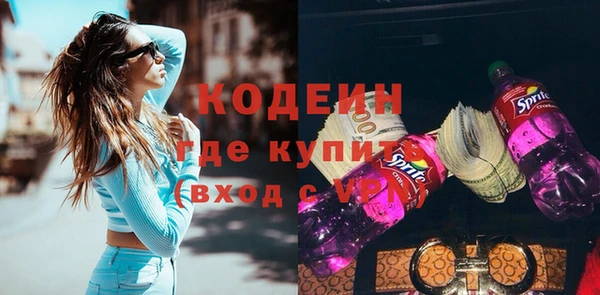 спиды Ельня