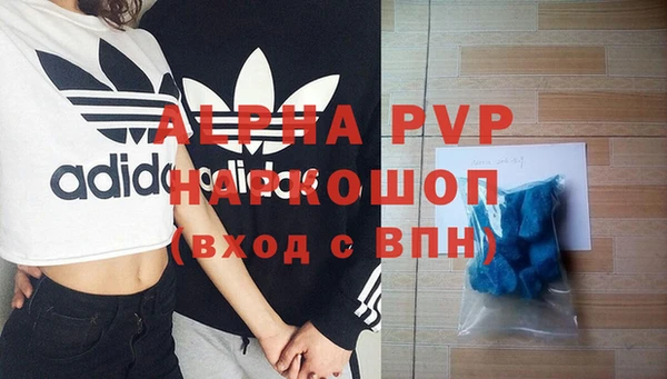 спиды Ельня