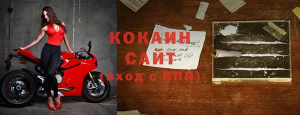 спиды Ельня