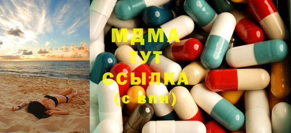 спиды Ельня