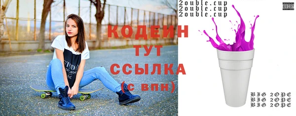 спиды Ельня